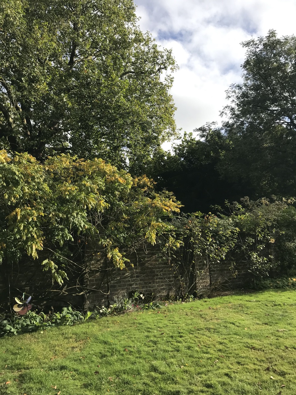jardin anglais
