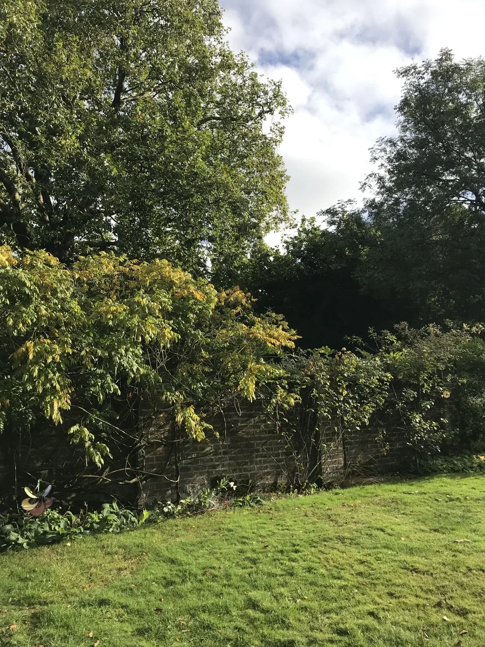 jardin anglais