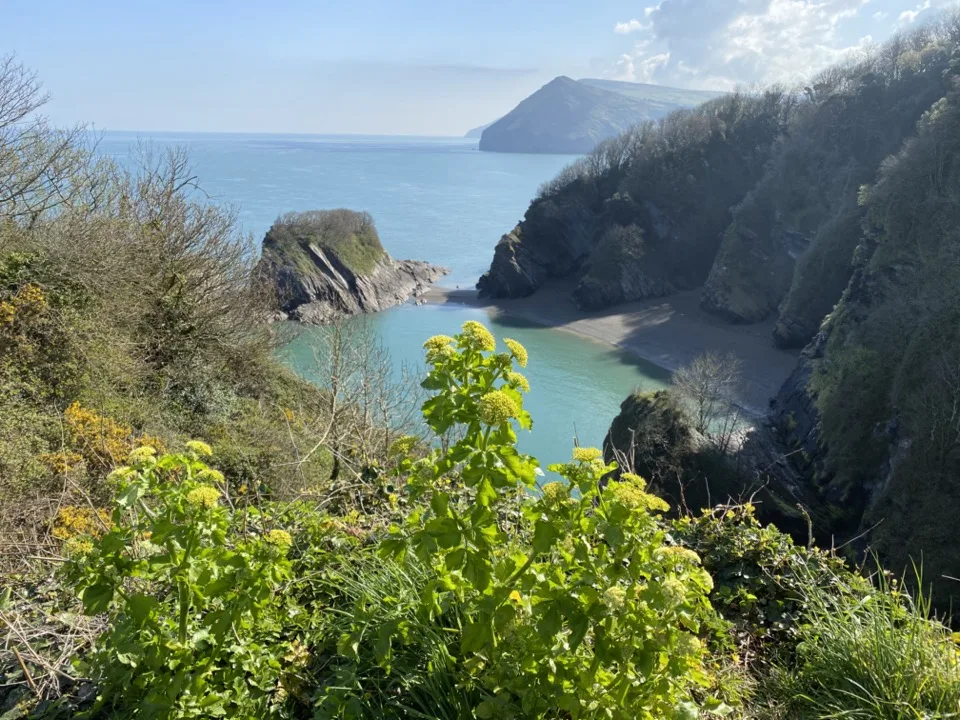 côte du Devon