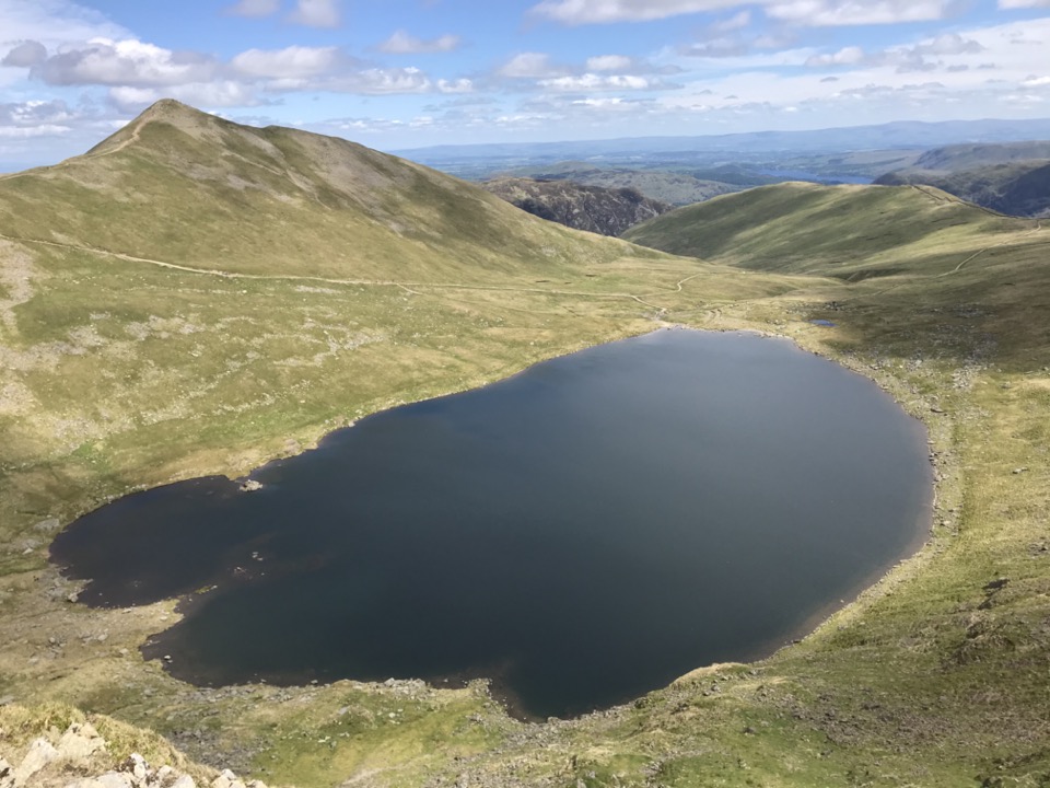 cat bells