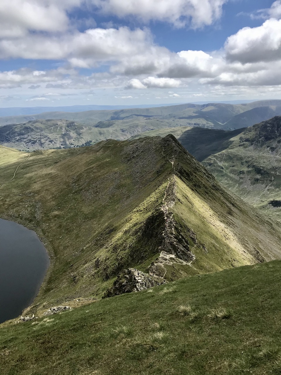 cat bells