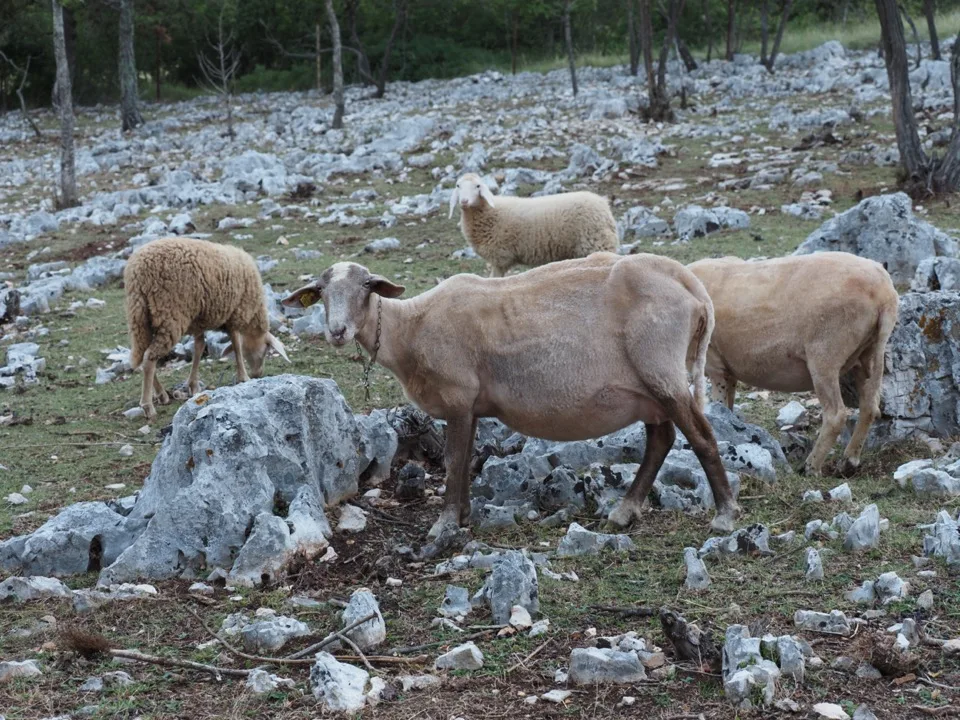 Istrie en famille