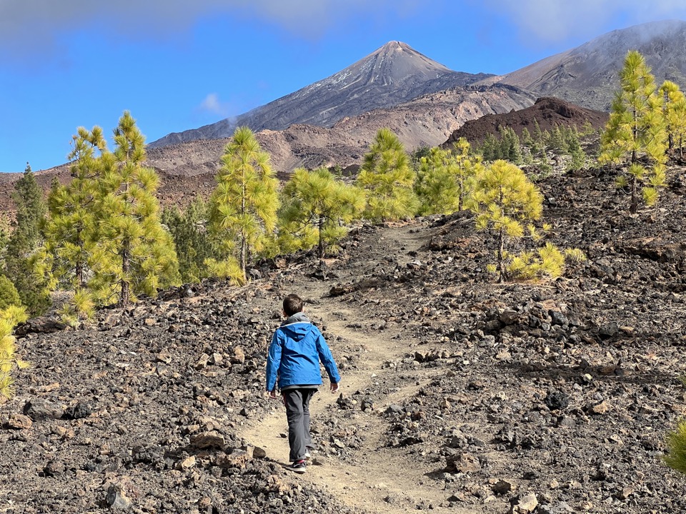 5 hikes in Tenerife with the kids