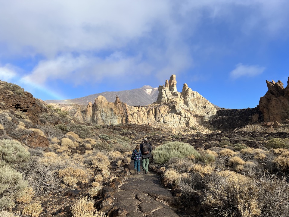 Roques de garcia