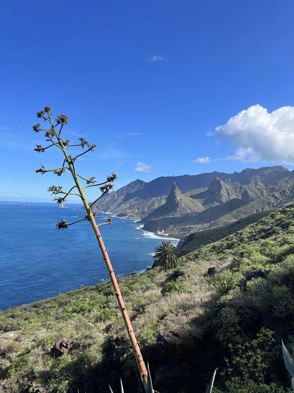 Teneriffa mit Familie
