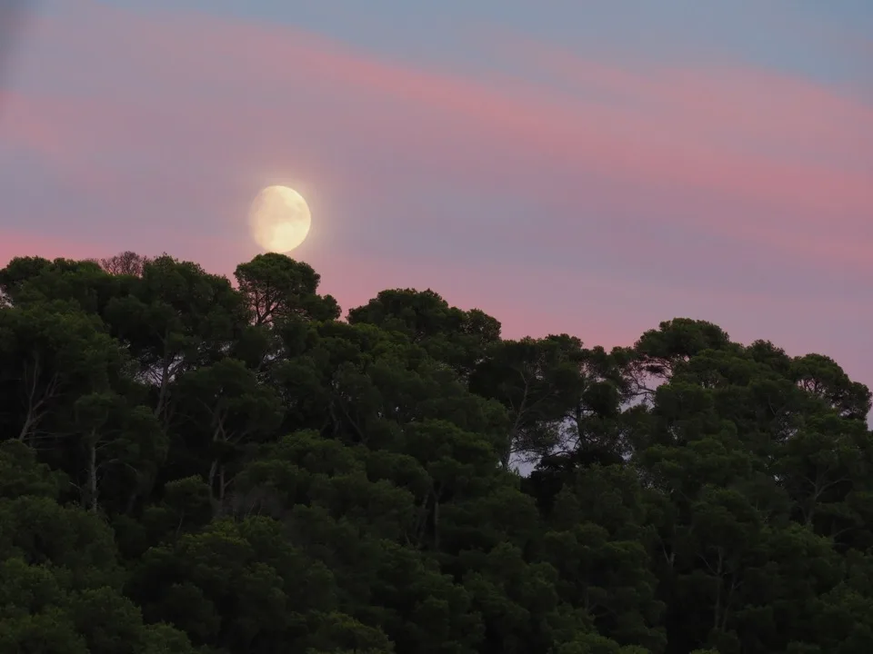 Port-Cros et Porquerolles en voilier