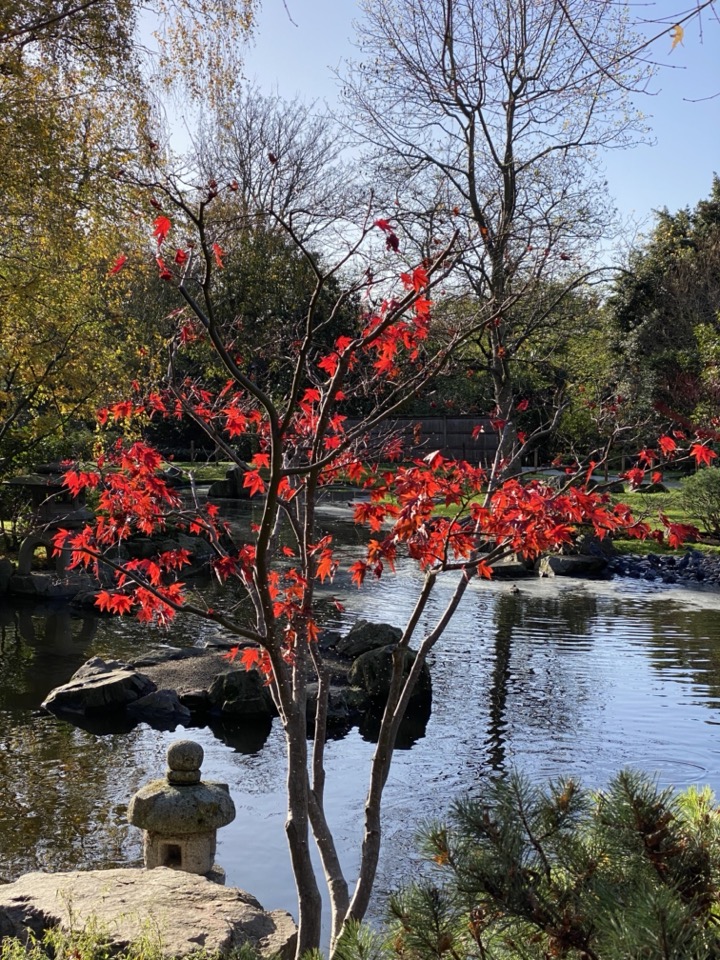 Holland park