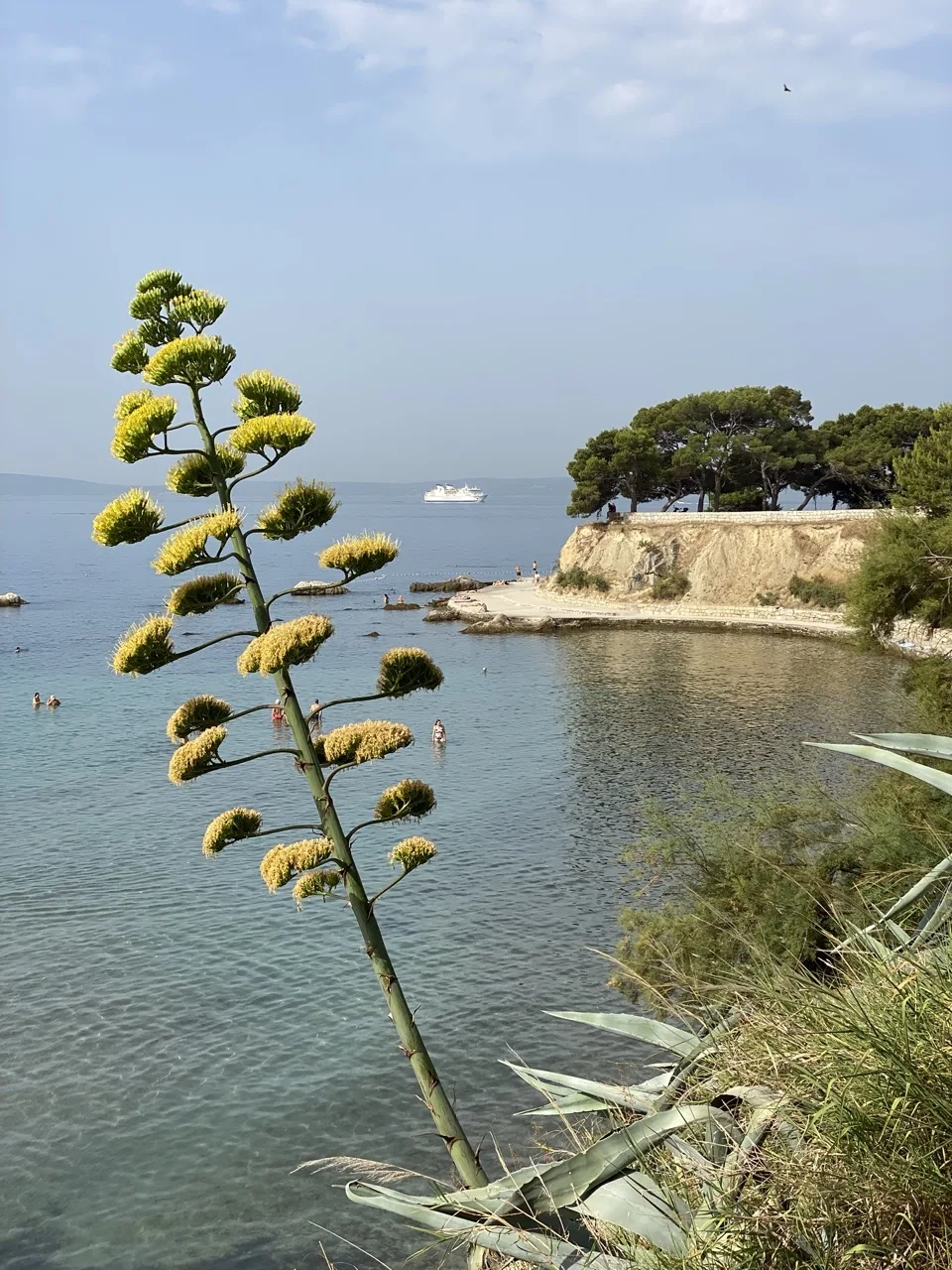 Zadar Split