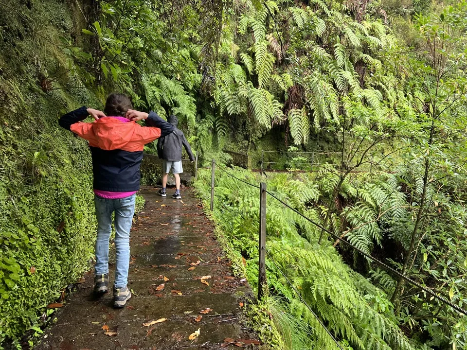10 days in Madeira