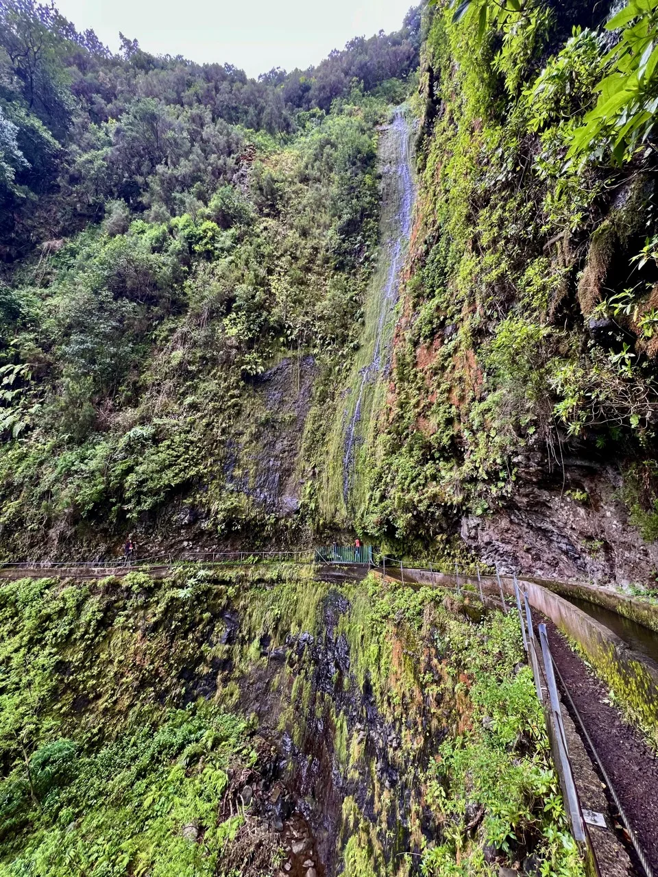 10 days in Madeira