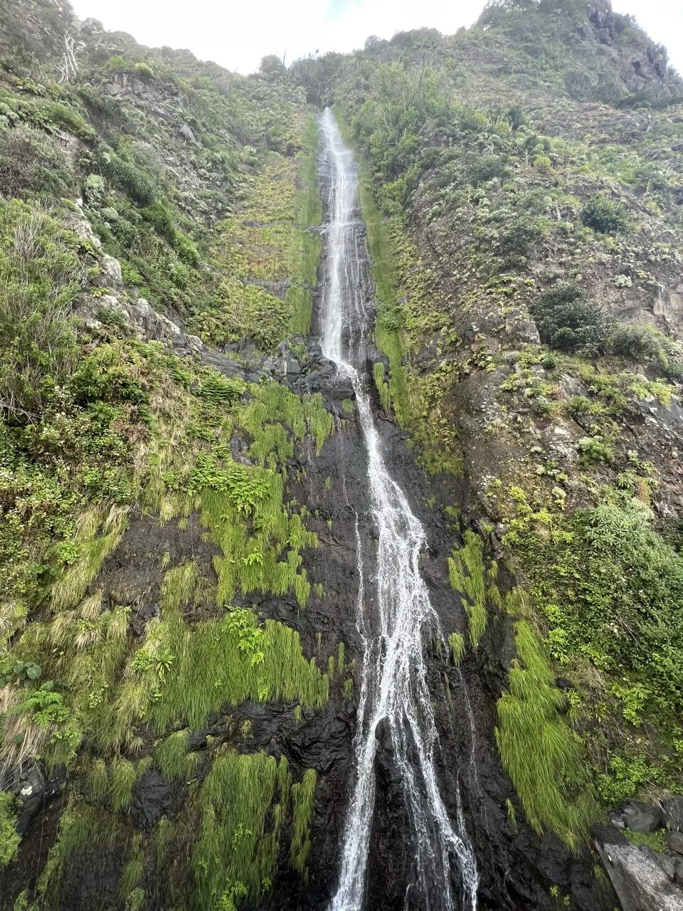 10 days in Madeira