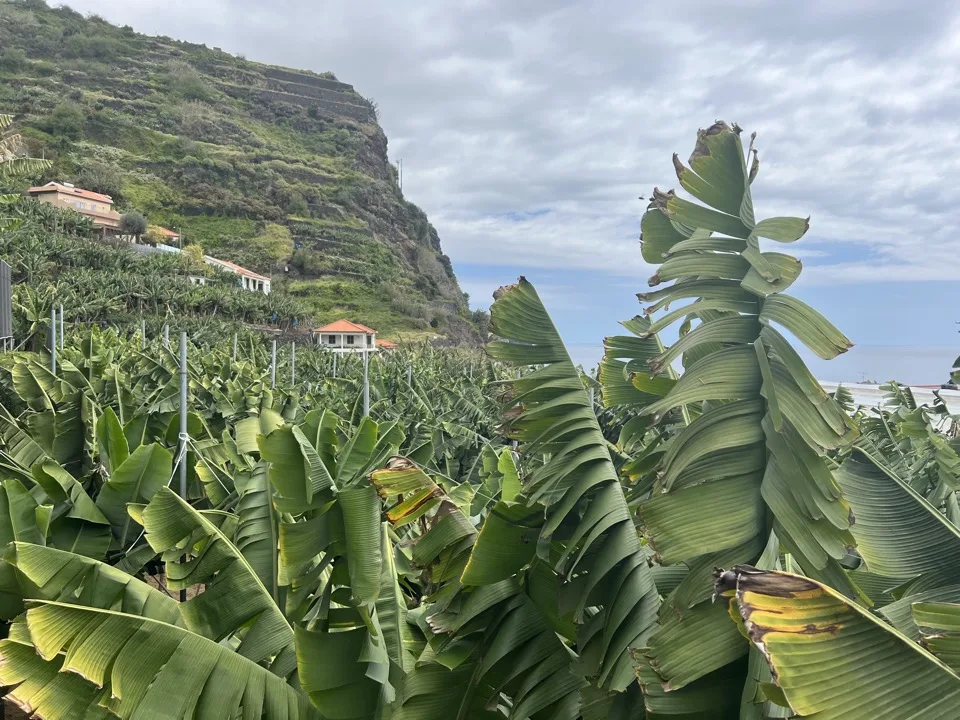 10 days in Madeira