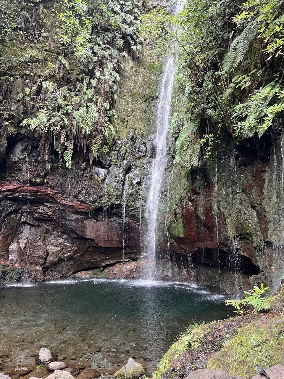 10 days in Madeira