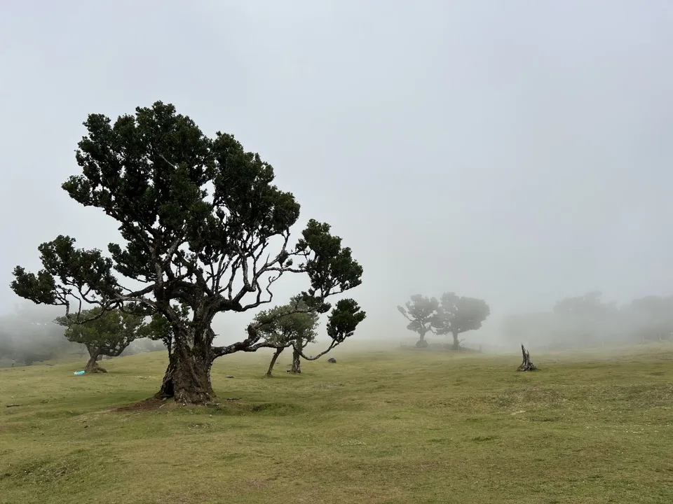 10 days in Madeira
