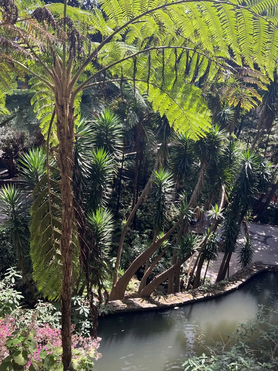 10 days in Madeira