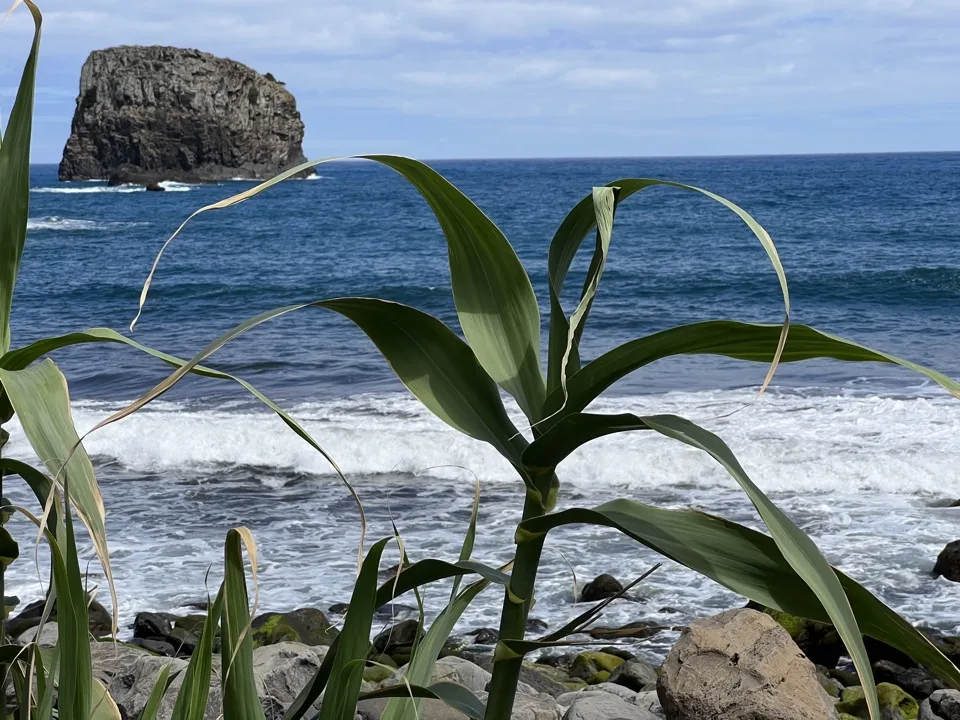 10 days in Madeira