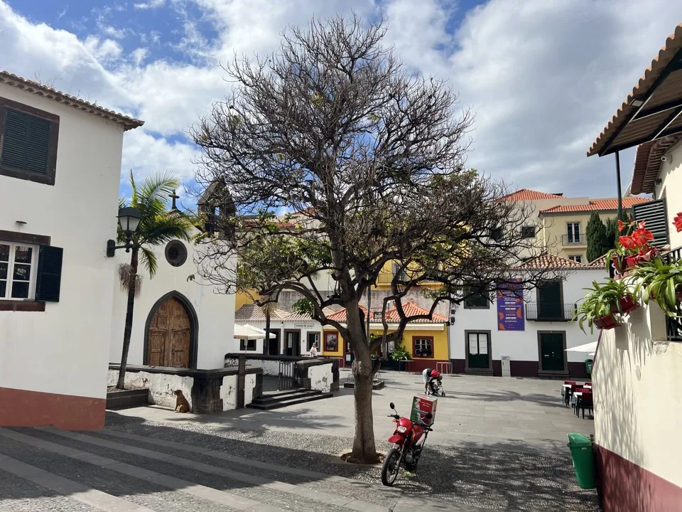 10 days in Madeira