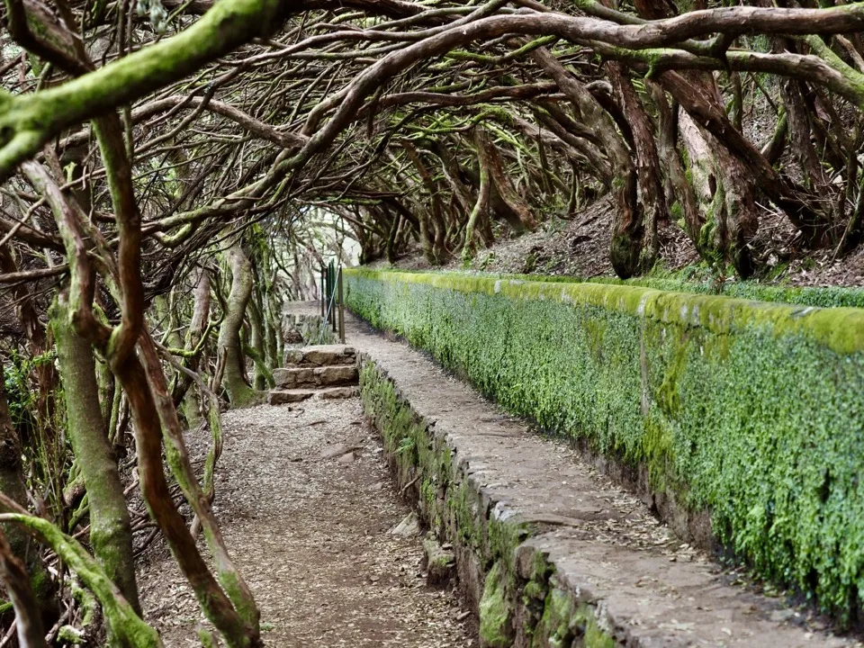 madeira hikes