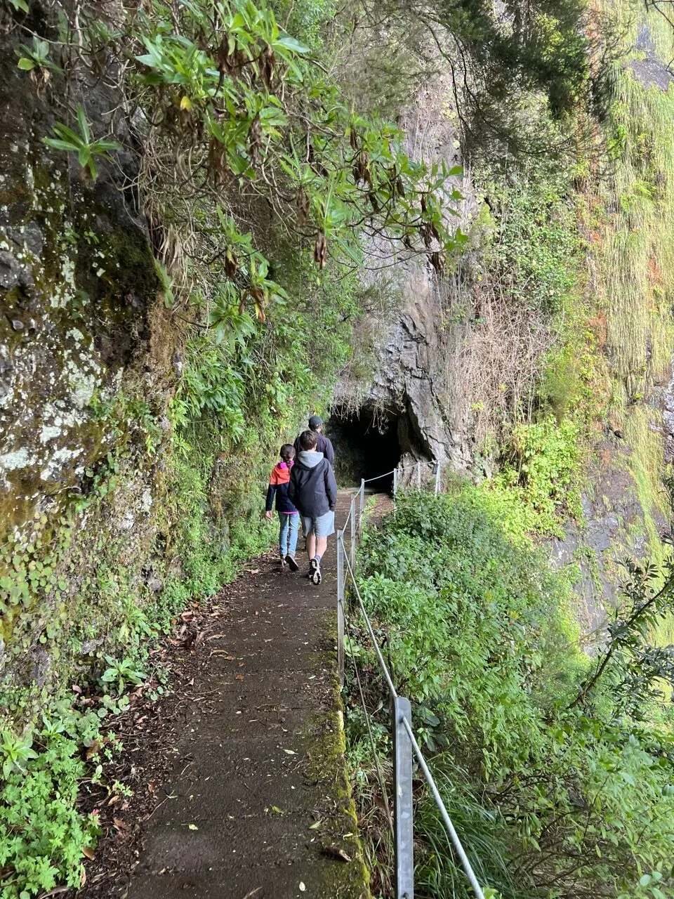 madeira hikes