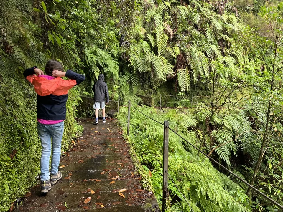 family hike in Madeira