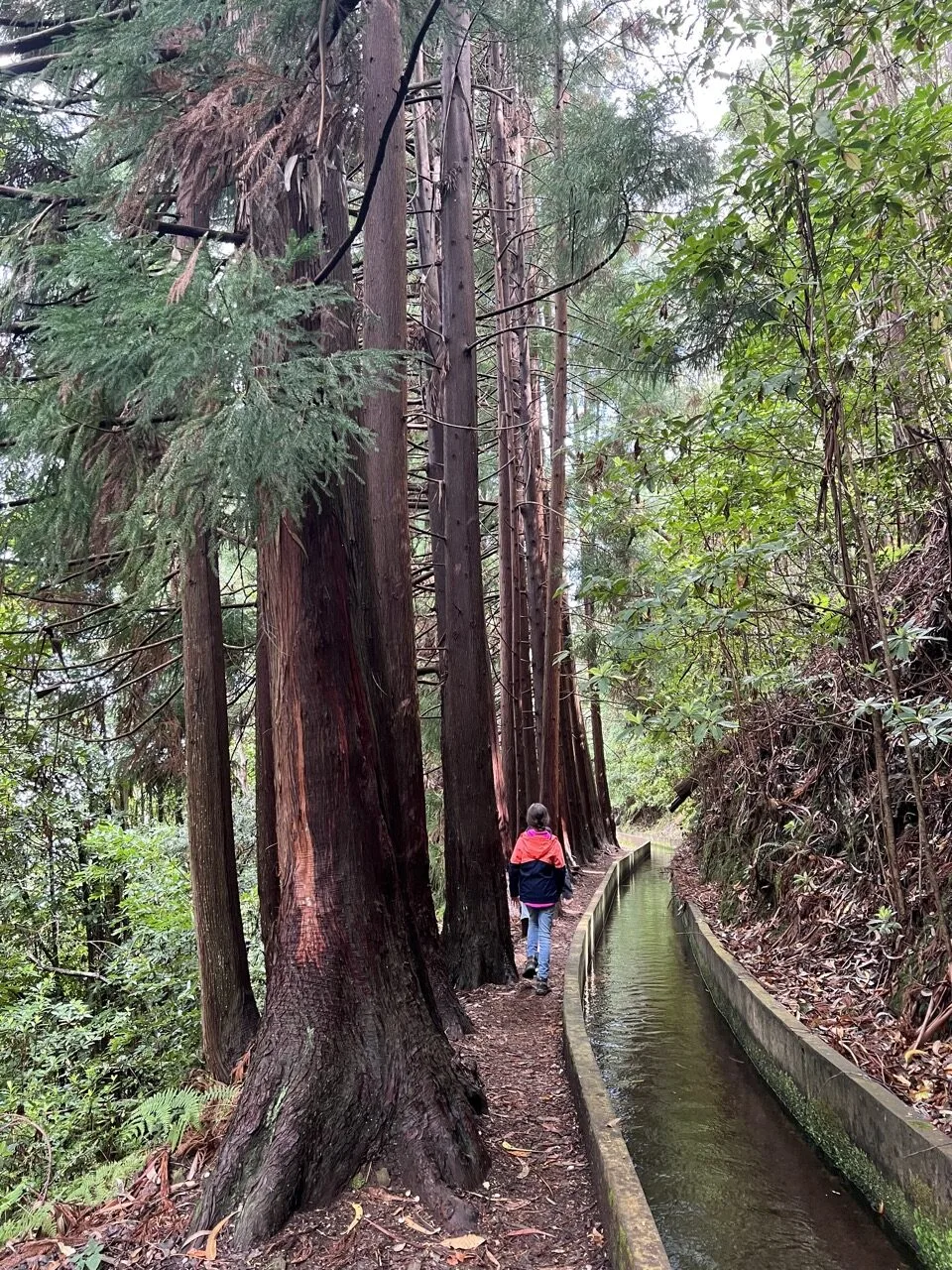 family hike in Madeira