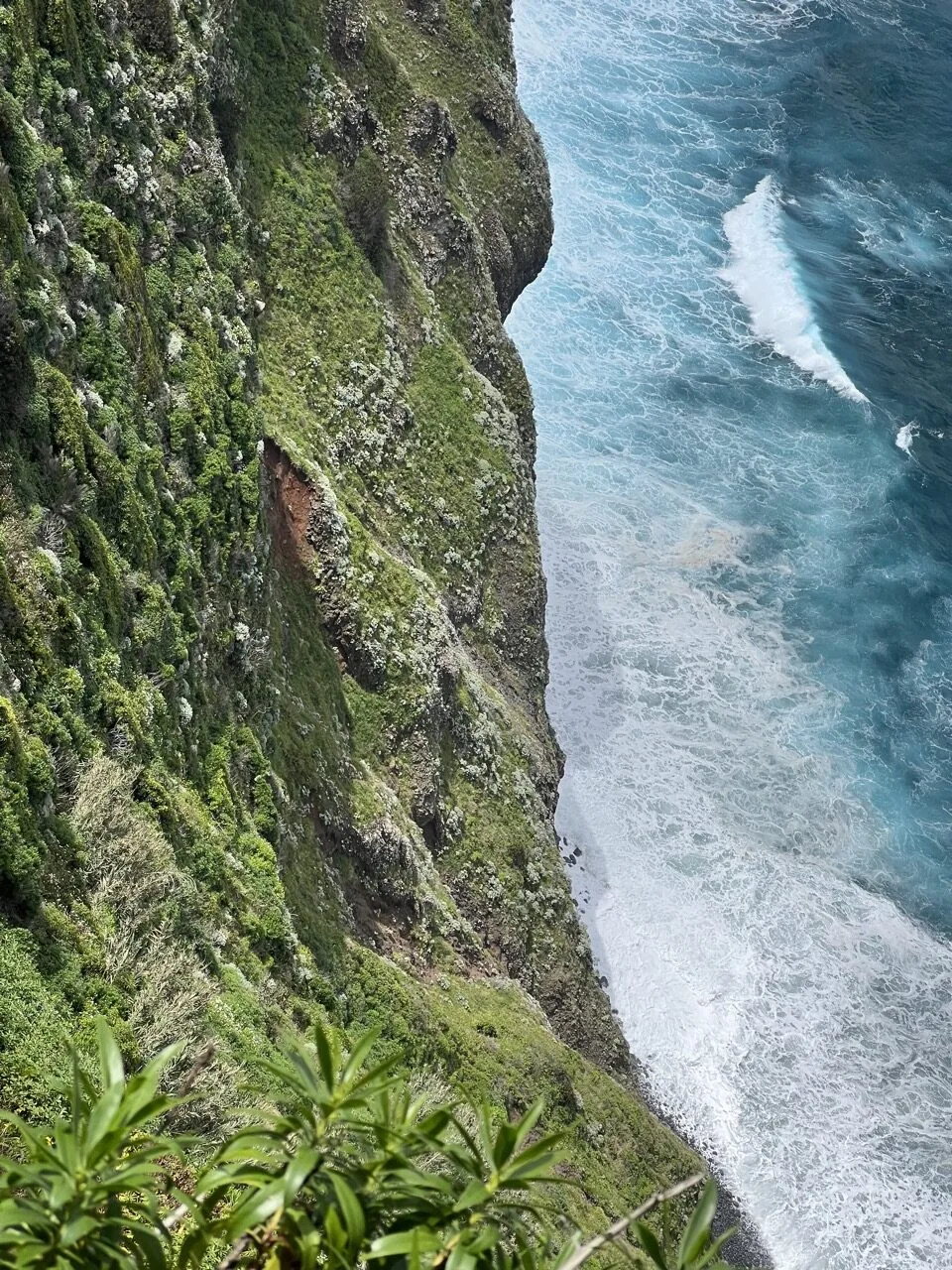 Madeira hike