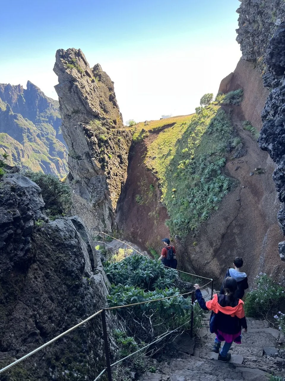 madeira hikes