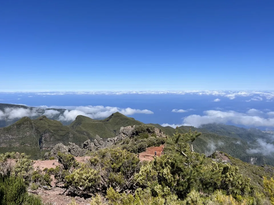 madeira hikes