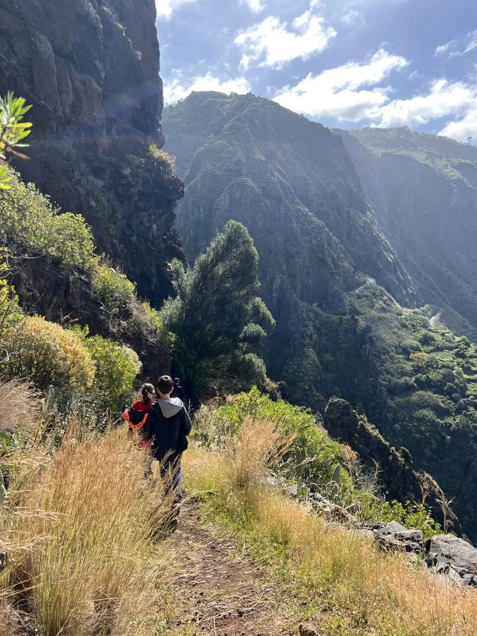 madeira hikes