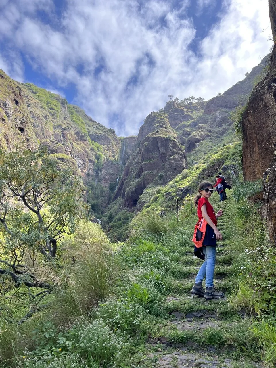 madeira hikes