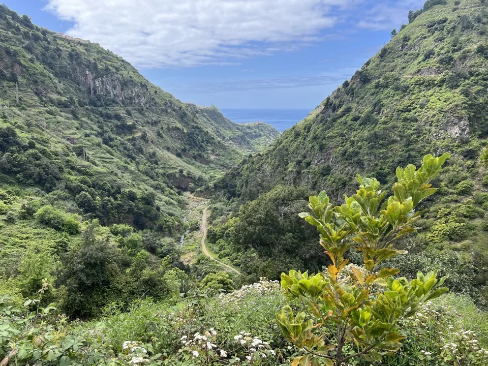 madeira hikes