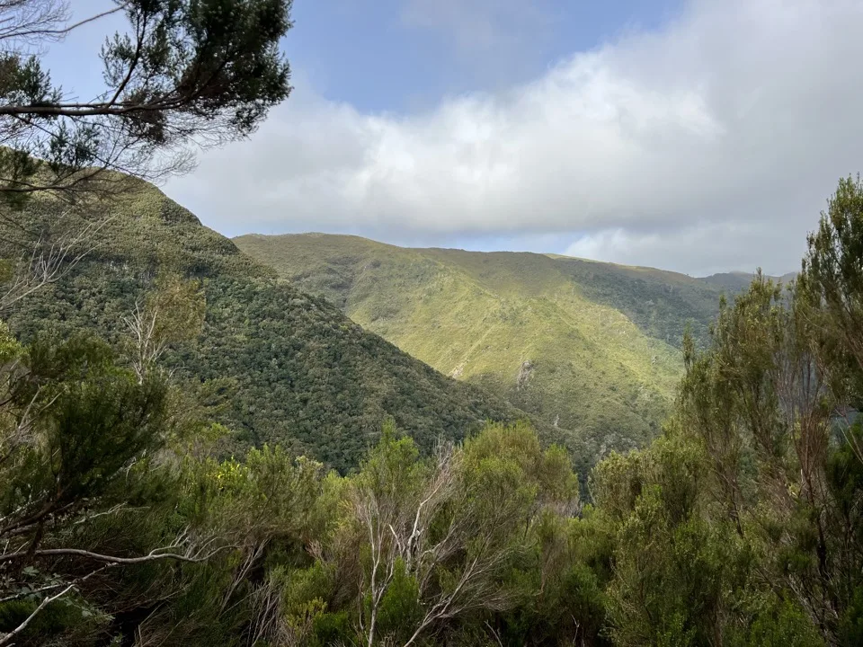 madeira hikes