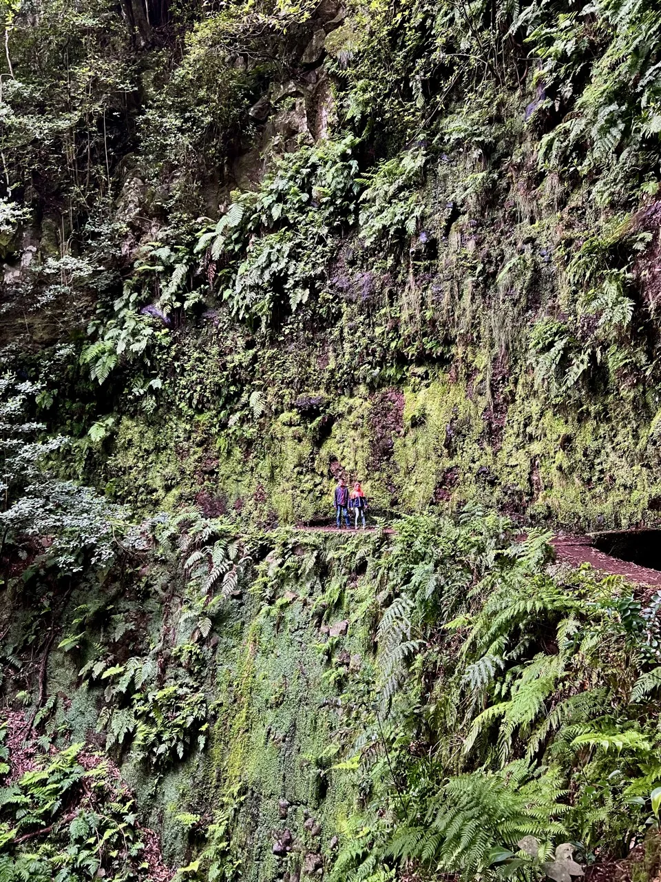 hike in Madeira