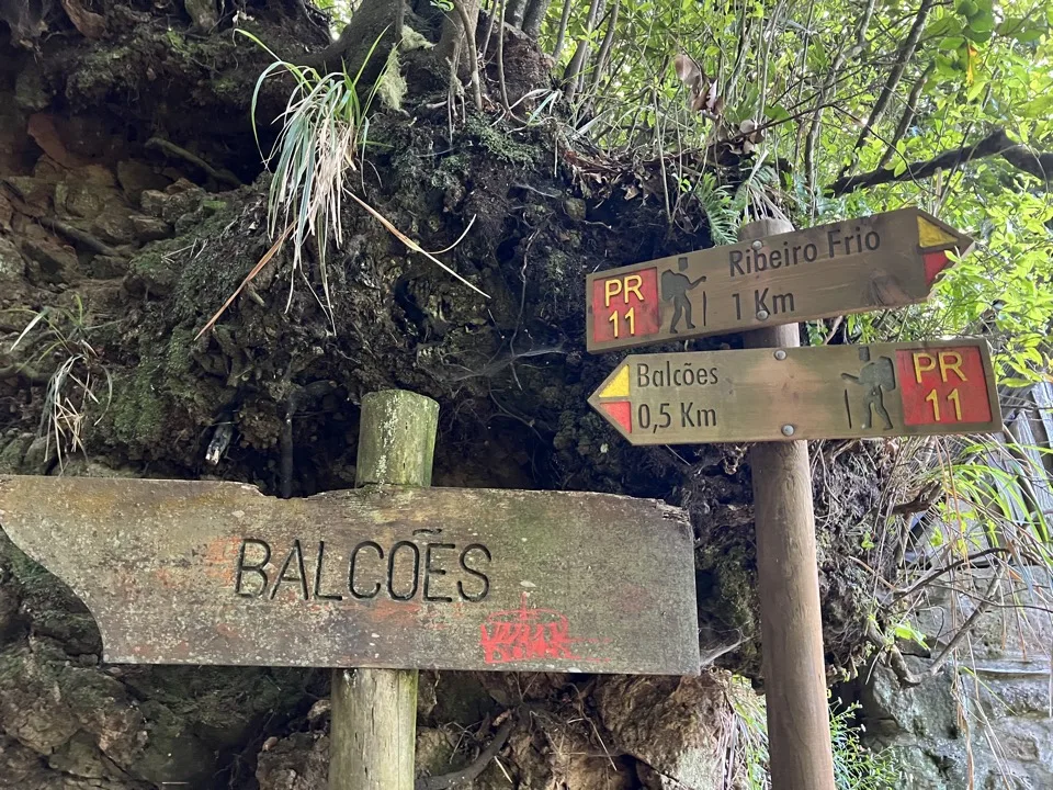 madeira hikes