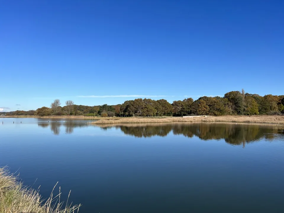 notre vie en angleterre