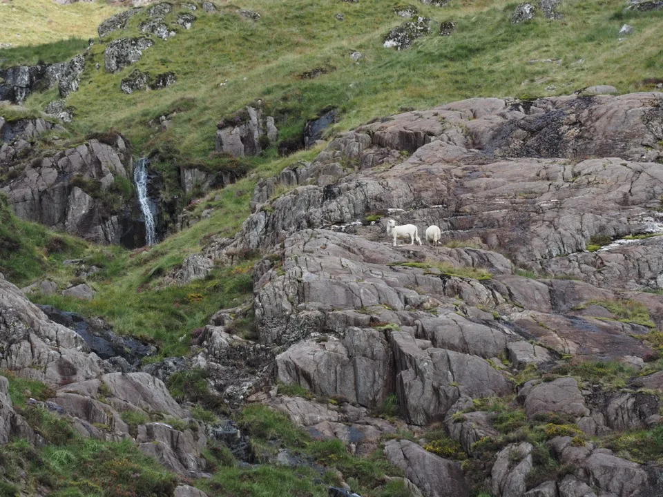 randonnées en famille dans le nord du pays de galles