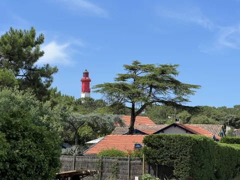 Le Bassin d&rsquo;Arcachon : 12 idées d&rsquo;activités en famille