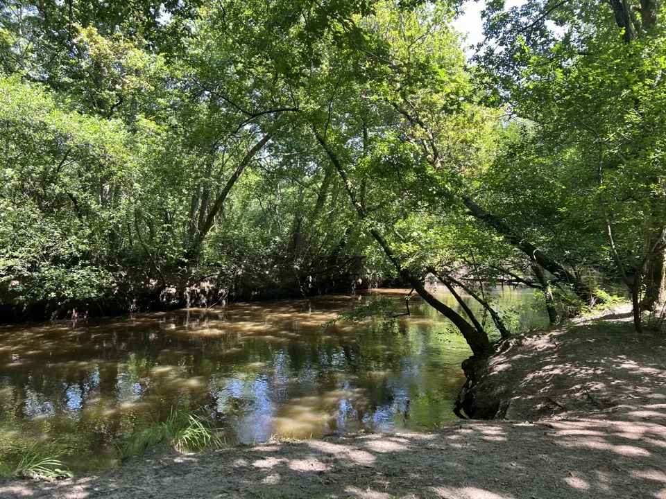 Bassin d'Arcachon en famille