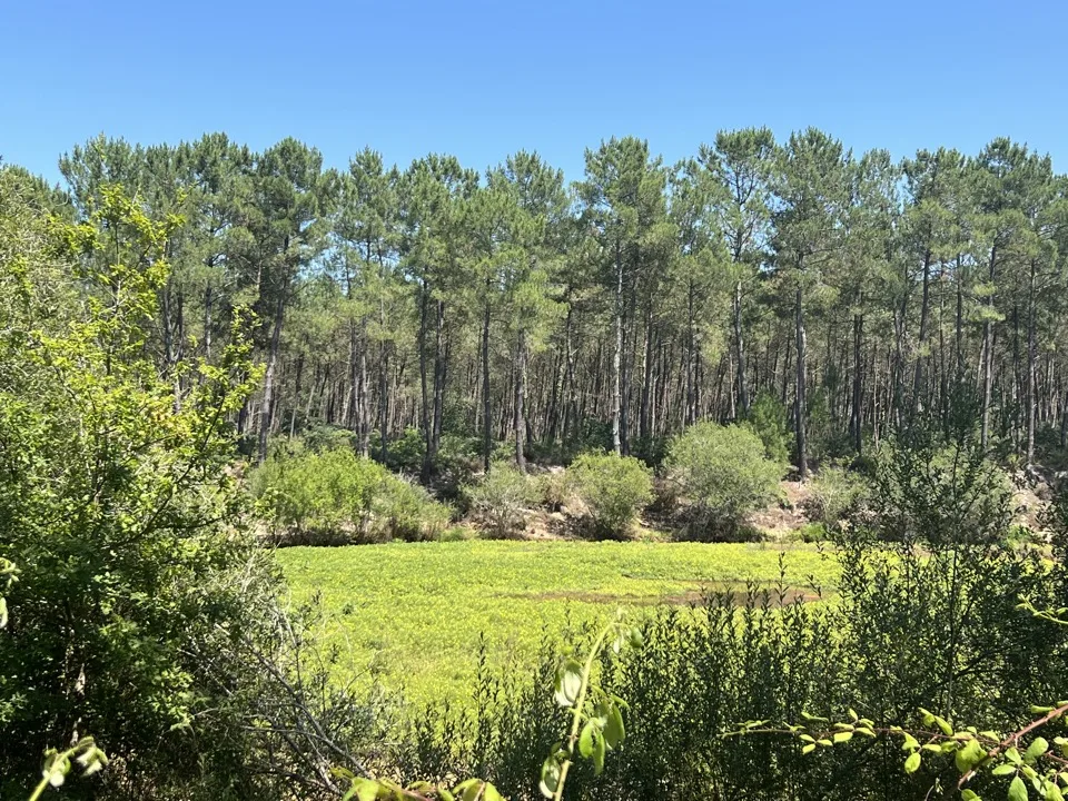 Bassin d'Arcachon en famille