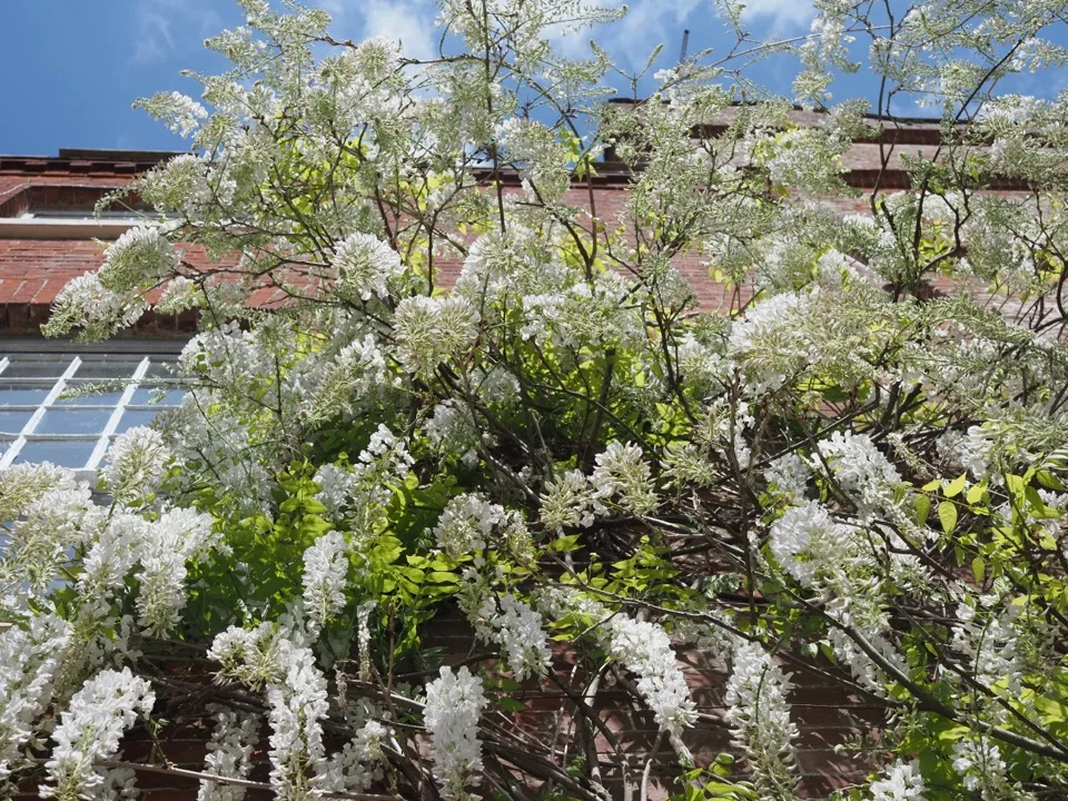 notre vie en Angleterre