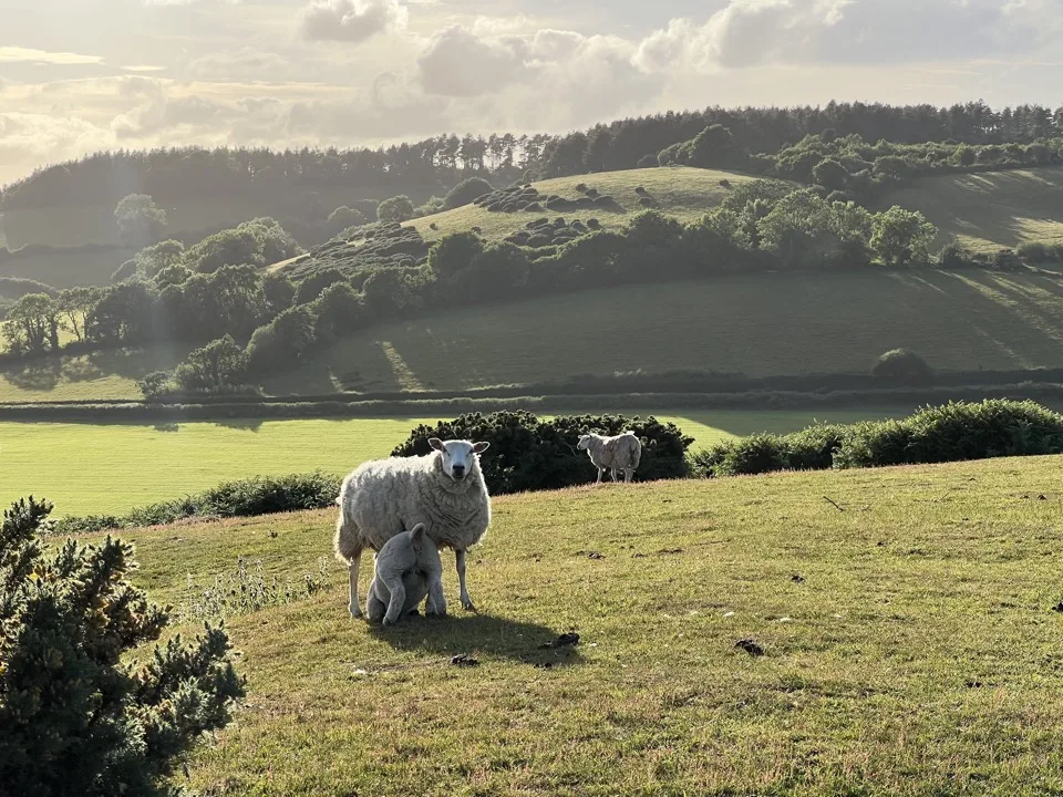 sud Devon en famille