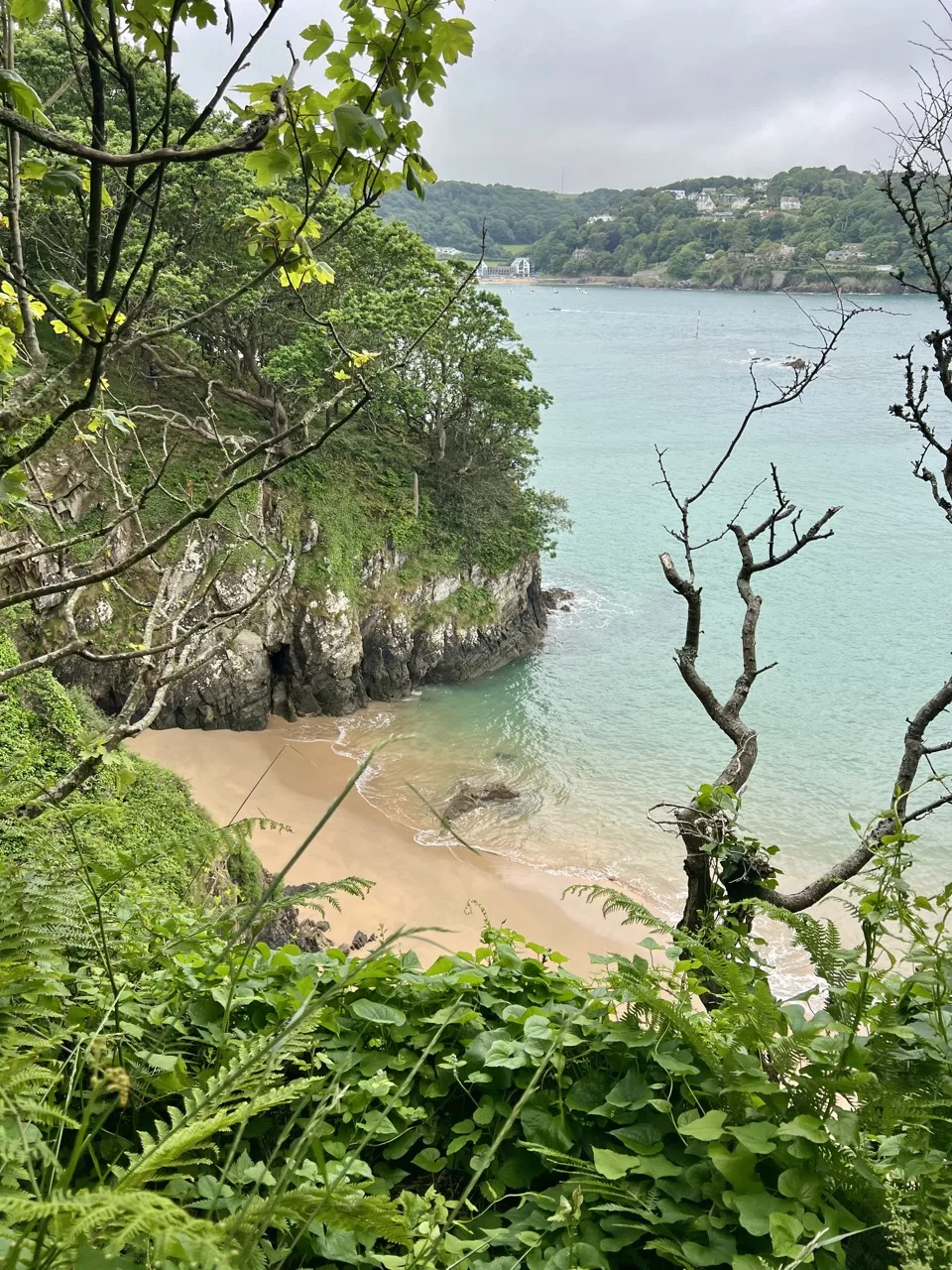 sud devon en famille