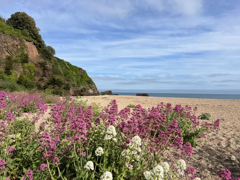 sud Devon en famille