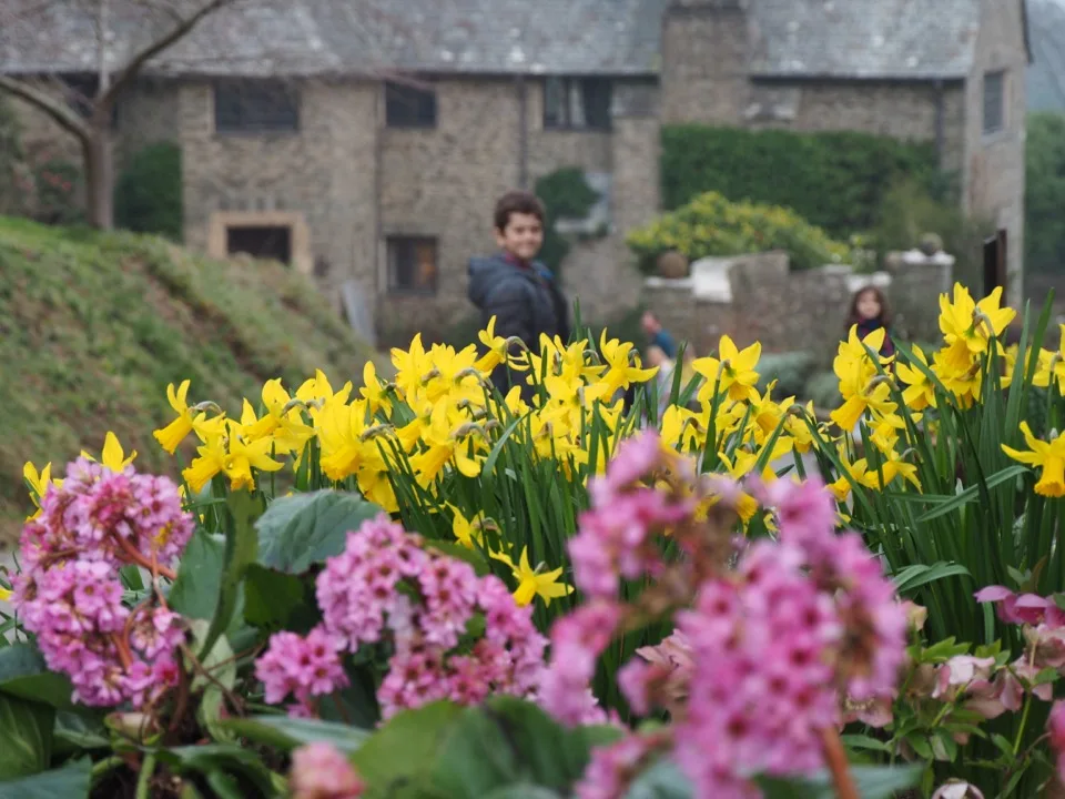 sud Devon en famille