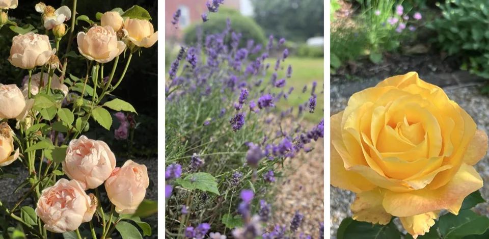 notre vie en Angleterre