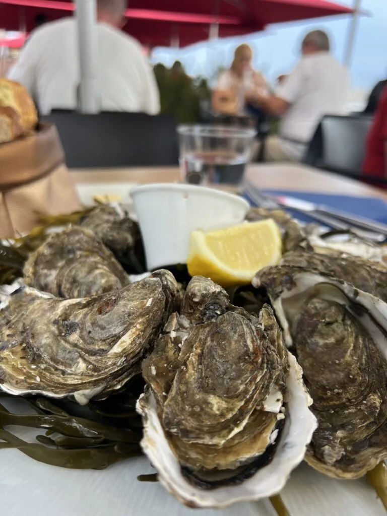 Teller mit Austern und Zitrone in Camaret-sur-Mer