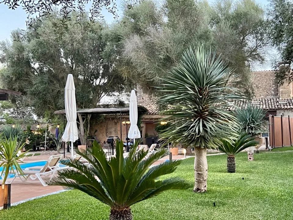 Majorque en famille à la Toussaint