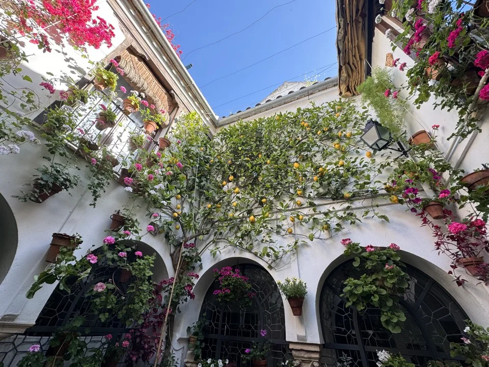 patio cordoue