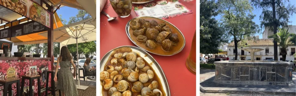 escargots_la_magdalena