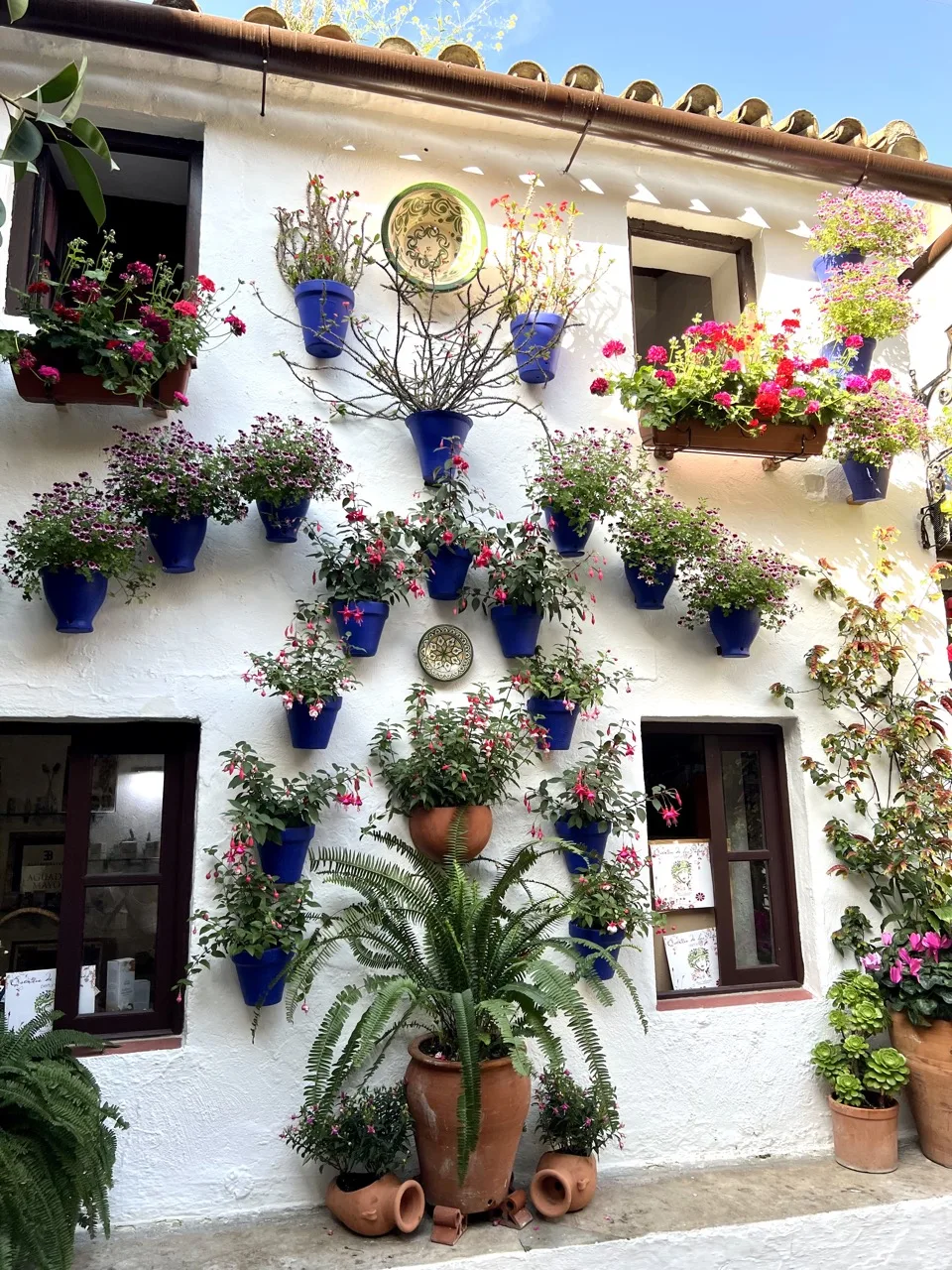 patios san basilio cordoue